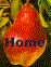 home.gif (2498 bytes)